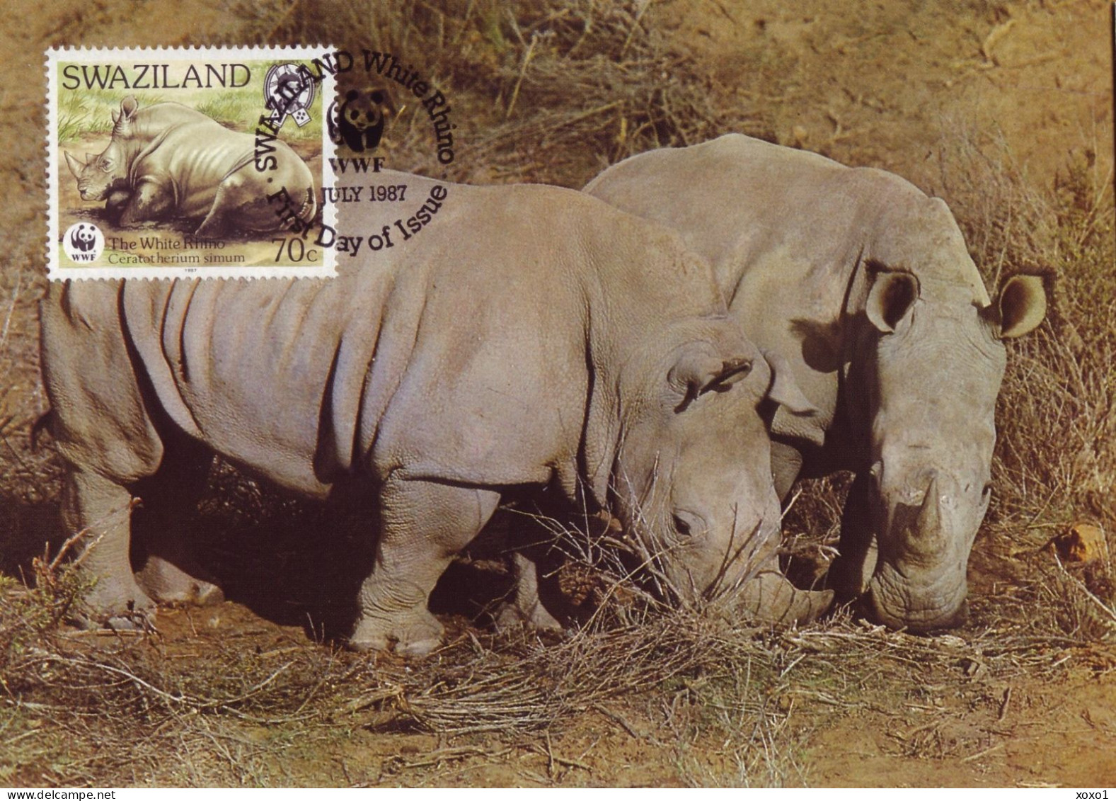 Swaziland 1987 Mi.No. 528 - 531 Animals White Rhinoceros  (Ceratotherium Simum) WWF 4v MC 16,00 € - Rhinoceros