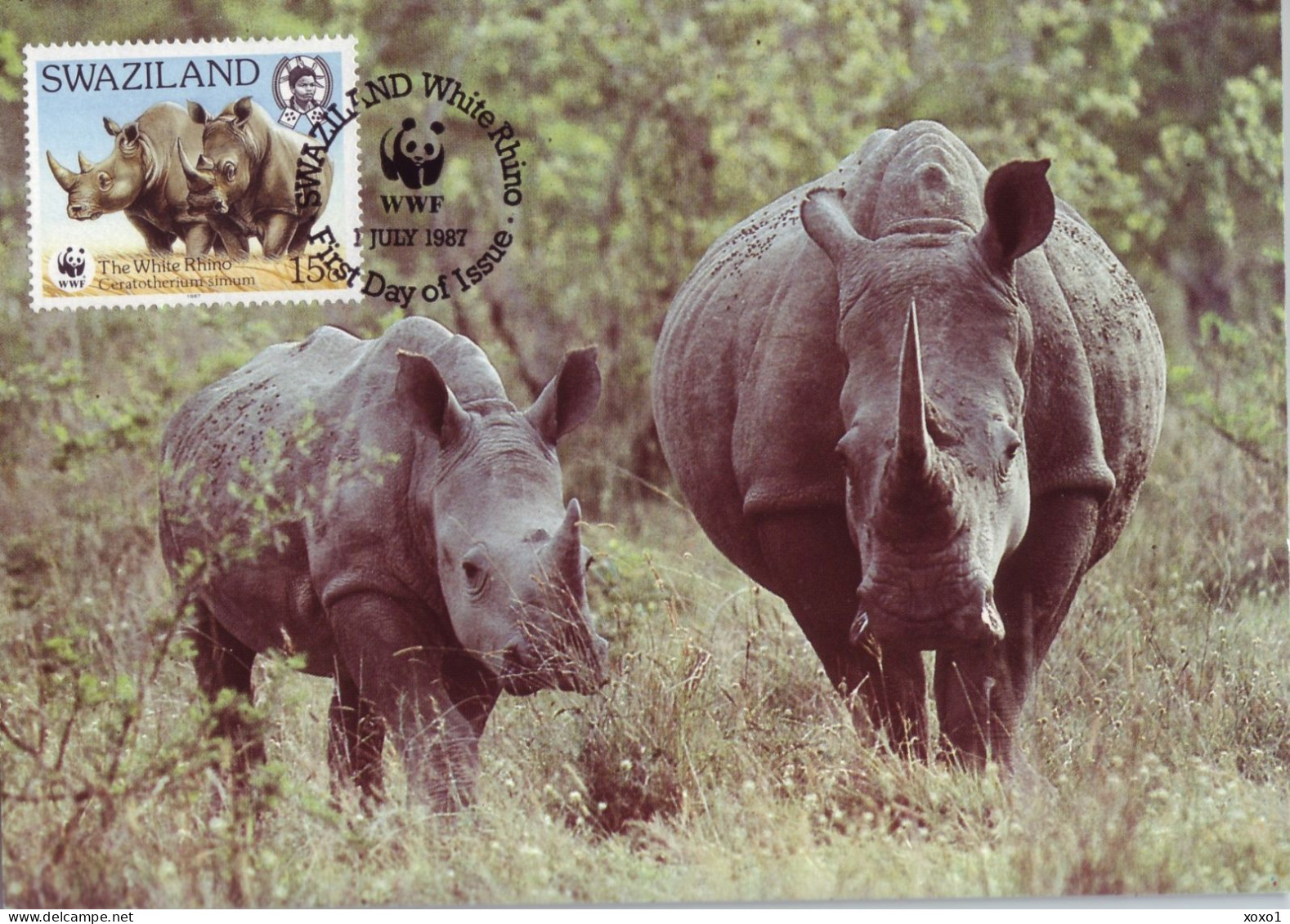 Swaziland 1987 Mi.No. 528 - 531 Animals White Rhinoceros  (Ceratotherium Simum) WWF 4v MC 16,00 € - Rhinoceros