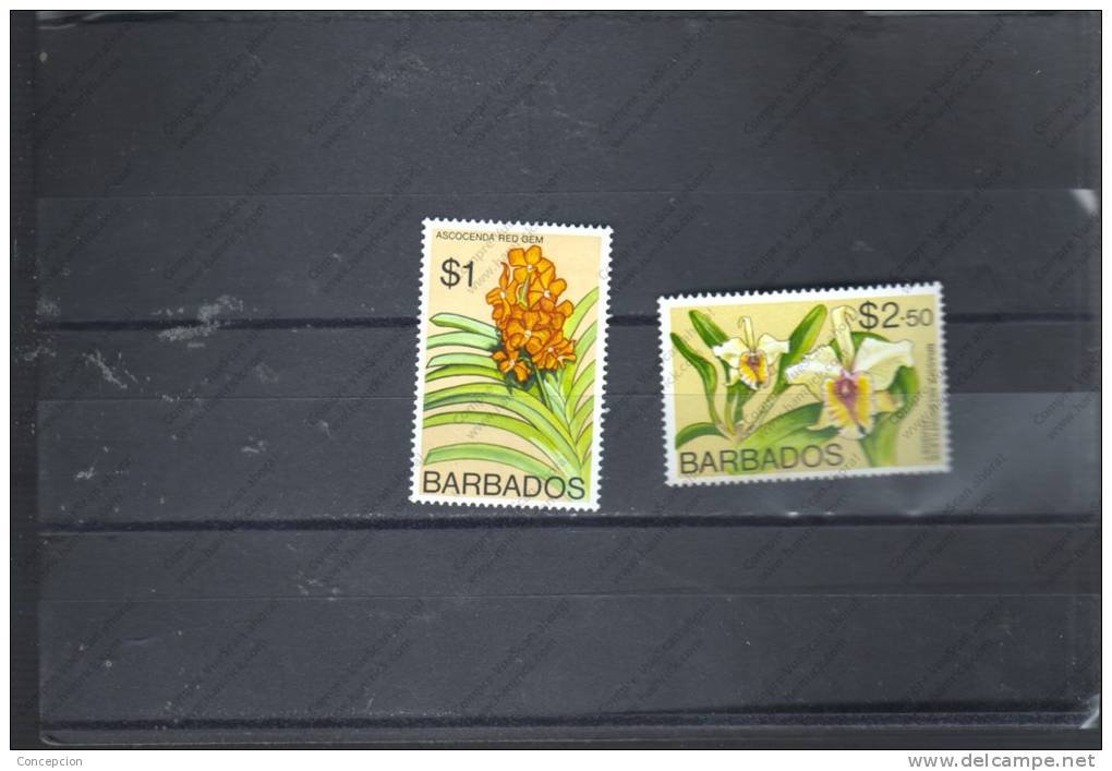 BARBADO Nº 385 AL 386 - Barbados (1966-...)