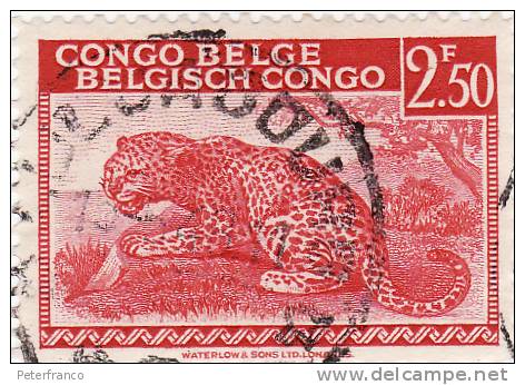 Congo Belga -  Shabunda - Usados