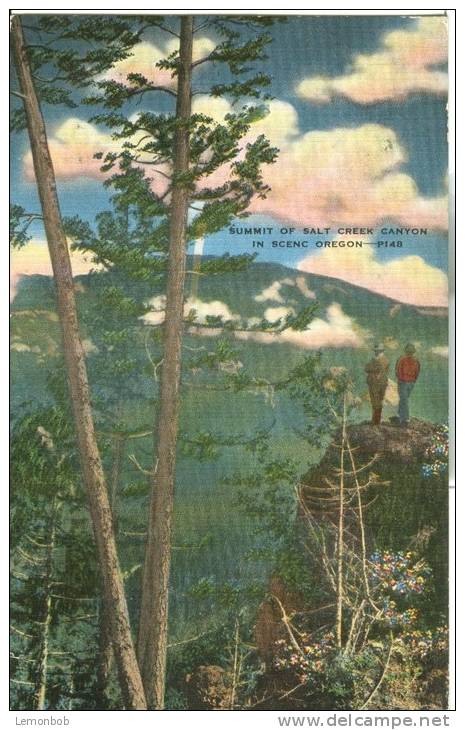 USA – United States – Summit Of Salt Creek Canyon In Scenic Oregon, Unused Linen Postcard [P6174] - Other & Unclassified