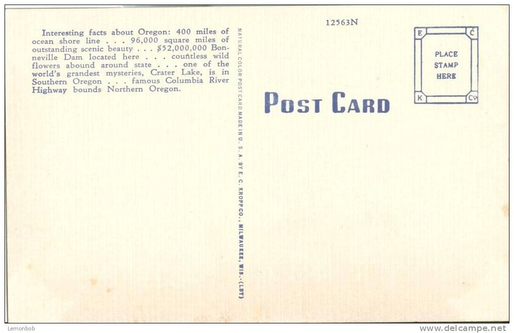 USA – United States – Summit Of Salt Creek Canyon In Scenic Oregon, Unused Linen Postcard [P6174] - Other & Unclassified