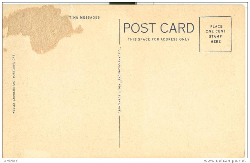 USA – United States – Downstream View Above Bonneville, Columbia River Highway, Oregon, Unused Linen Postcard [P6177] - Other & Unclassified