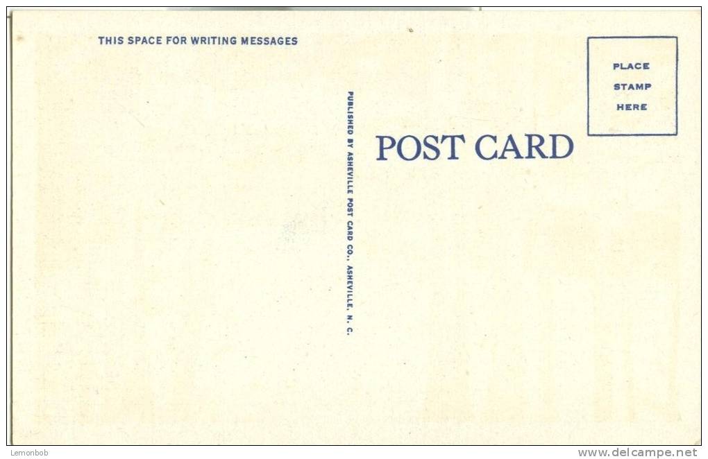 USA – United States – Big Ridge Park, A Great Place For Outdoor Sports On Morris Lake, Tennessee, Unused Postcard[6182] - Andere & Zonder Classificatie