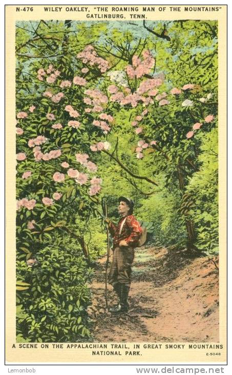 USA – United States – Wiley Oakley, The Roaming Man Of The Mountains, Gatlinburg, Tennessee, Unused Linen Postcard[P6187 - Other & Unclassified