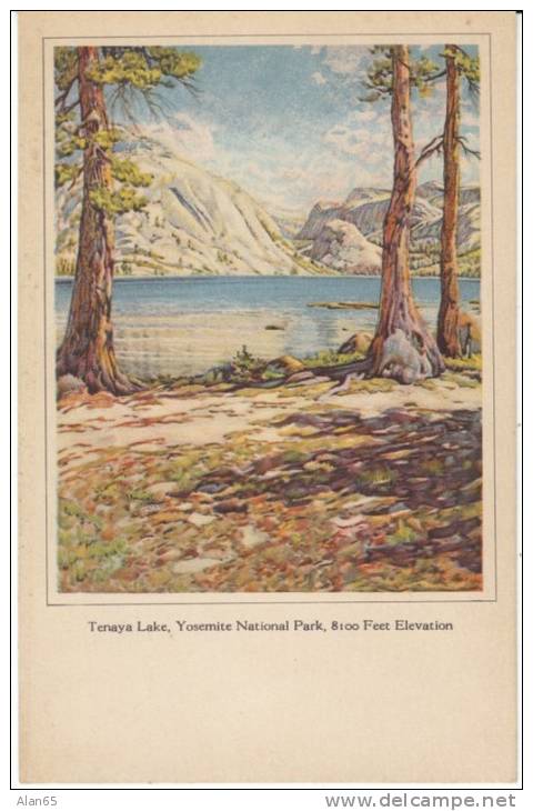 Yosemite National Park California, Tenaya Lake View, C1920s/30s Vintage H.S. Crocker Co. Postcard - USA Nationalparks