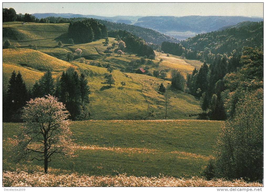 B31724 Basel Zurcher Oberland Bei Sitzberg Used Perfect Shape - Autres & Non Classés