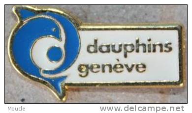 LES DAUPHINS GENEVE - SUISSE - Schwimmen