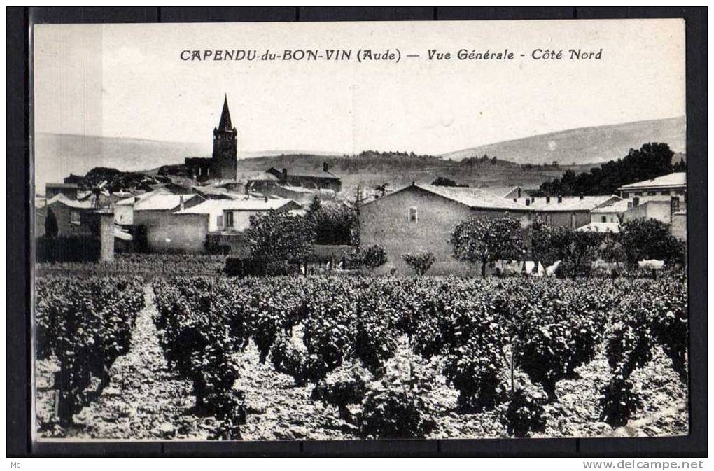 11 - Capendu-du-Bon-Vin (Aude) - Vue Générale - Coté Nord - Vignes - Capendu
