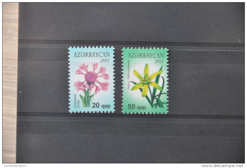 C 125 ++ AZERBAIJAN 2011 FLOWERS FLEUR BLOEMEN  MNH - Azerbaïdjan