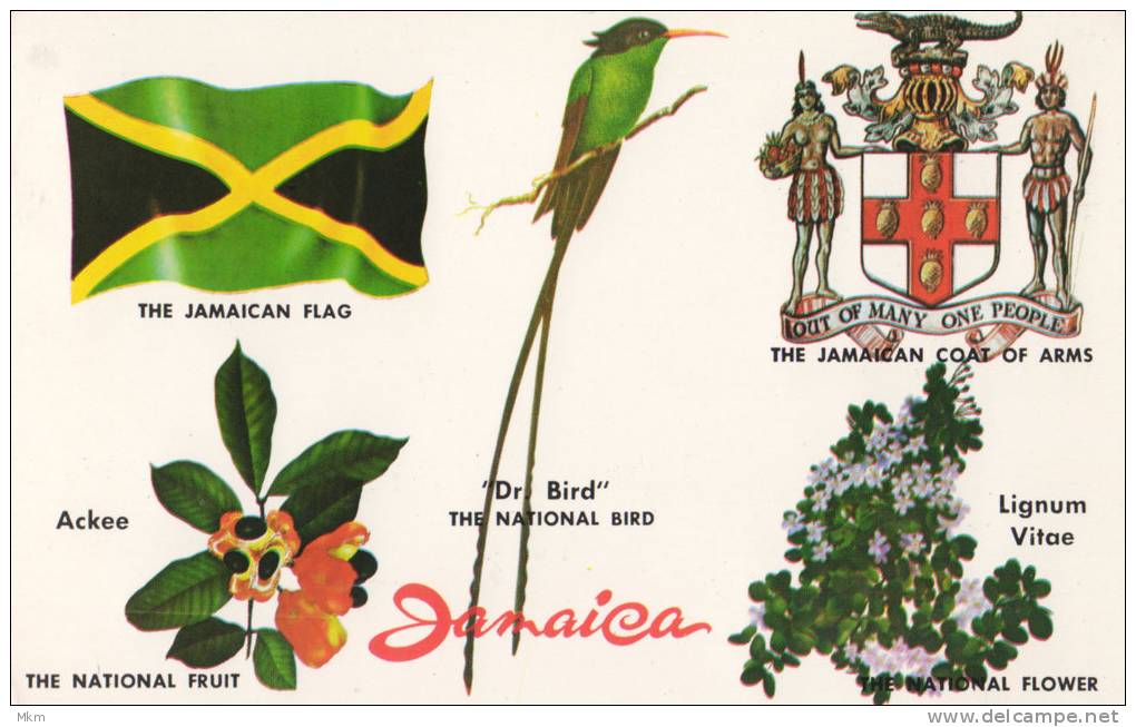From The Arawak Indian - Jamaica