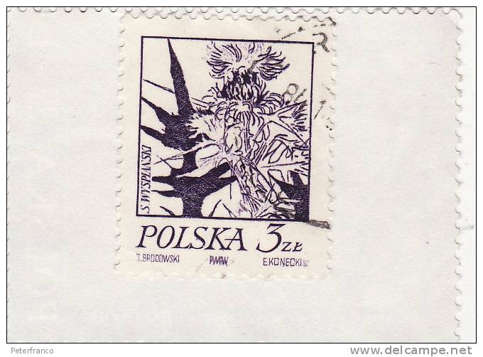 Polonia - S. Wyspanski - Used Stamps