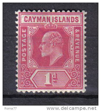 AP952 - CAYMAN 1905 , 1 Penny Yvert N. 9  *  Mint - Kaimaninseln