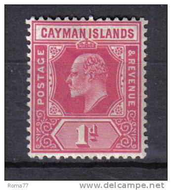 AP952 - CAYMAN 1905 , 1 Penny Yvert N. 9  *  Mint - Iles Caïmans