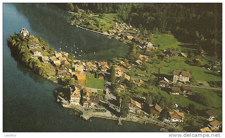 Flugaufnahme Iseltwald Fischerdorf Am Brienzersee BE 1989 - Brienz