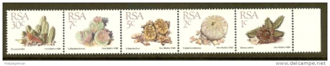 RSA 1993 MNH Stamps Readers Digest Strips SA822b #7009 - Ongebruikt