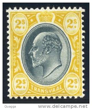 Transvaal 1904-09. 2sh Black And Yellow (wmk.MCA). SACC 274*. - Transvaal (1870-1909)