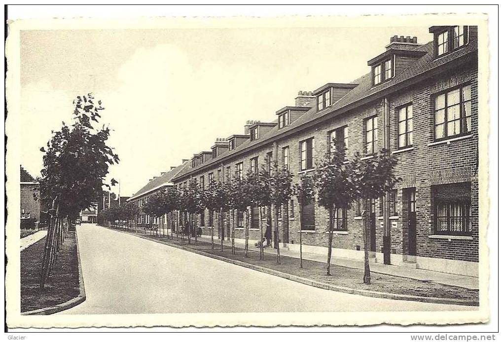 37. - IZEGEM - Blauwhuisstraat - Uitg. : Firma Clovis Nonkel, Izegem - Izegem