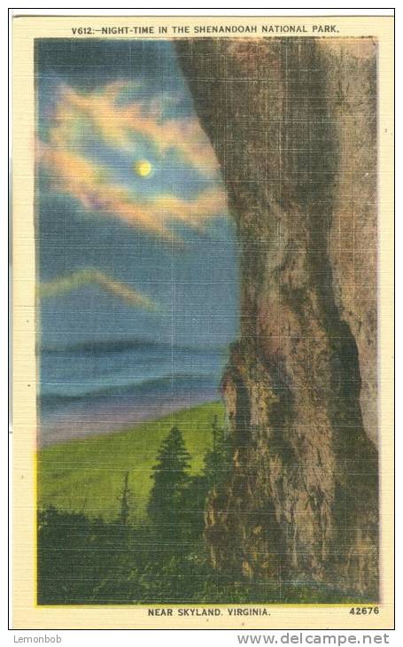 USA – United States – Night Time In The Shenandoah National Park, Near Skyland, Virginia, Unused Linen Postcard [P6192] - Altri & Non Classificati