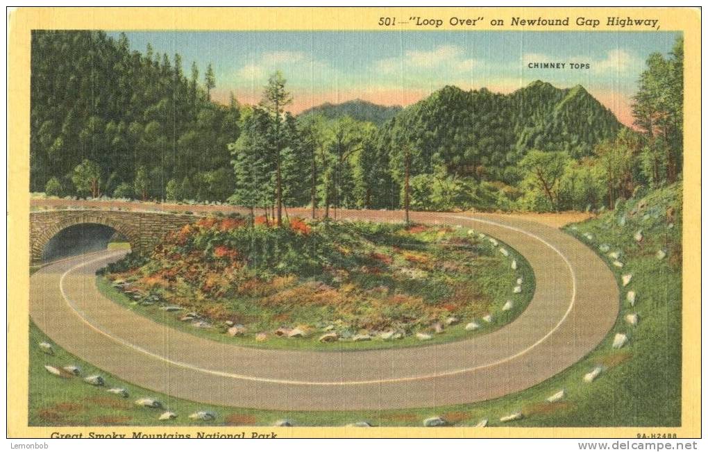 USA – United States – Loop Over, On Newfound Gap Highway, Great Smoky Mountains National Park, Unused Postcard [P6197] - USA Nationale Parken