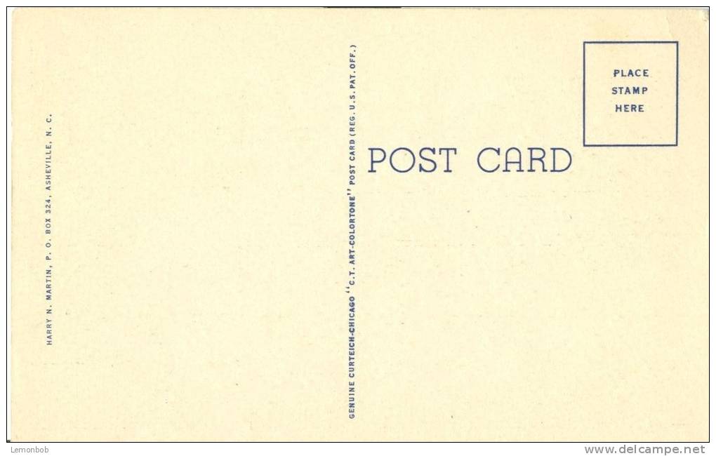 USA – United States – Loop Over, On Newfound Gap Highway, Great Smoky Mountains National Park, Unused Postcard [P6197] - USA Nationale Parken