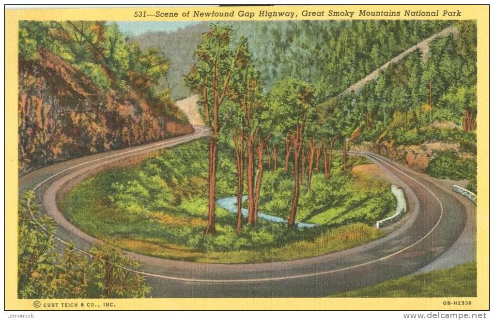 USA – United States – Scene Of Newfound Gap Highway, Great Smoky Mountains National Park, Unused Linen Postcard [P6202] - USA Nationalparks