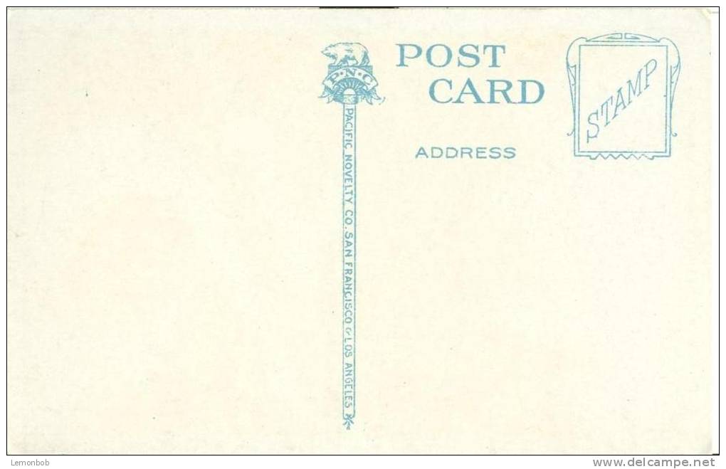 USA – United States – View In Cowen Park, Seattle, Washington, 1910s-1920s Unused Postcard [P6212] - Seattle