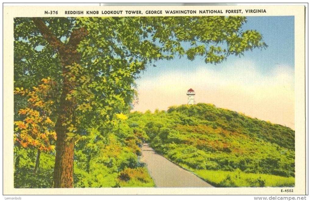 USA – United States – Reddish Knob Lookout Tower, George Washington National Forest, Virginia, Unused Postcard [P6214] - Altri & Non Classificati