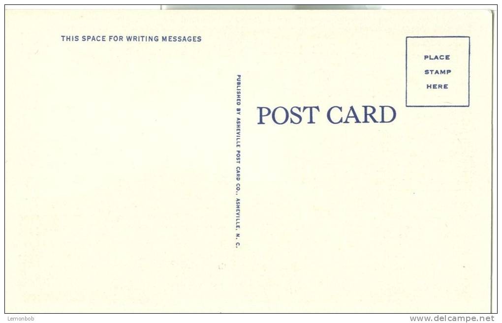 USA – United States – Reddish Knob Lookout Tower, George Washington National Forest, Virginia, Unused Postcard [P6214] - Altri & Non Classificati