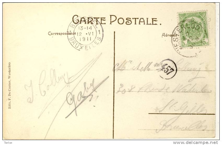 Tongerloo - Dreef Van De Abdij -1911 ( Voir Verso ) - Westerlo