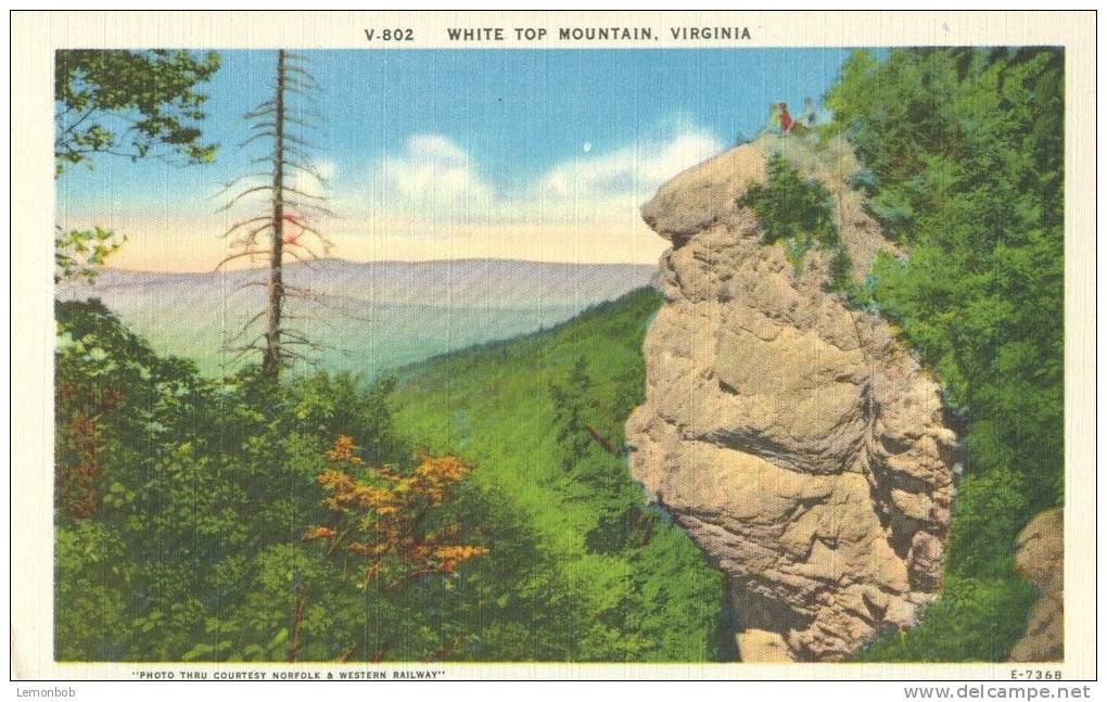 USA – United States – White Top Mountain, Virginia, Unused Linen Postcard [P6221] - Altri & Non Classificati