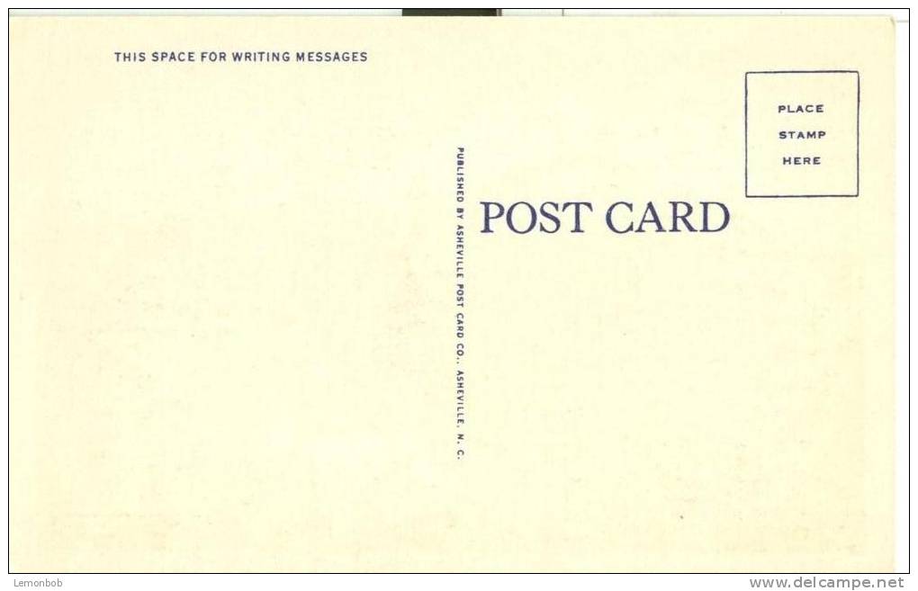 USA – United States – White Top Mountain, Virginia, Unused Linen Postcard [P6221] - Altri & Non Classificati