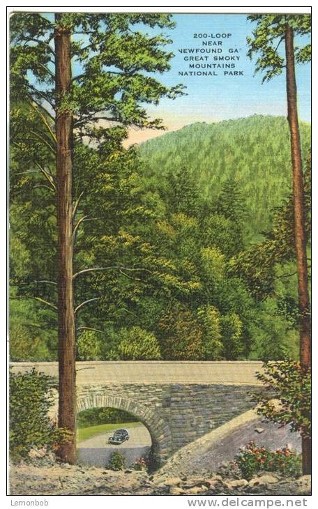 USA – United States – 200-Loop Near Newfound Gap, Great Smoky Mountains National Park 1930s Unused Postcard [P6239] - USA National Parks