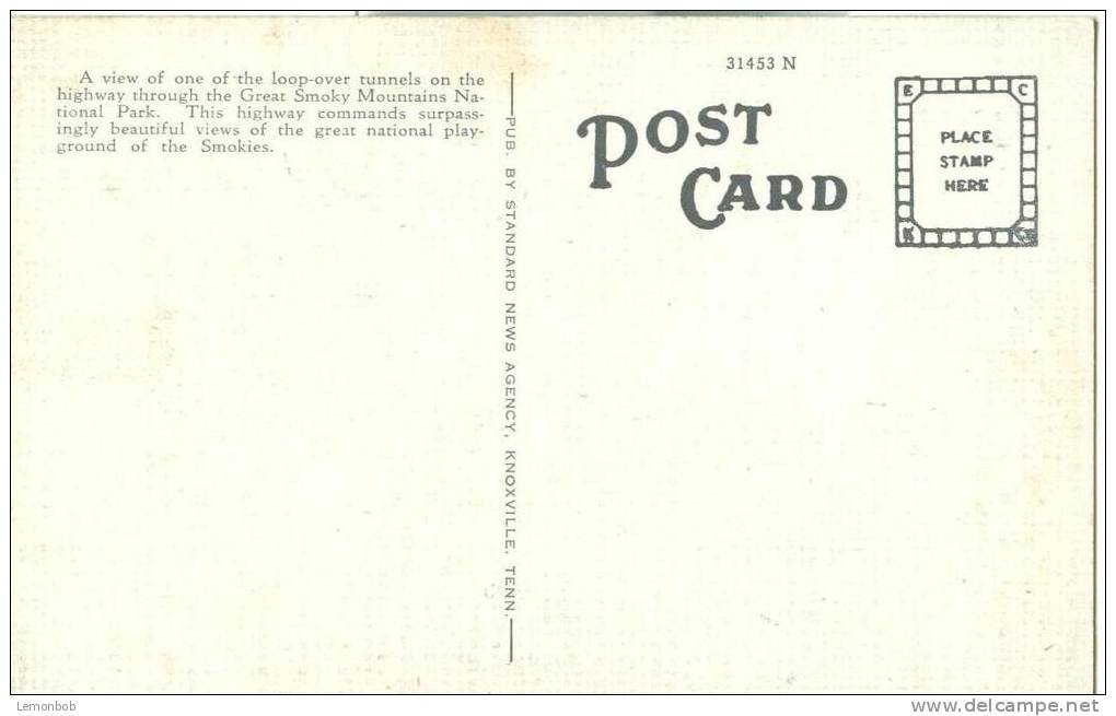 USA – United States – 200-Loop Near Newfound Gap, Great Smoky Mountains National Park 1930s Unused Postcard [P6239] - USA National Parks