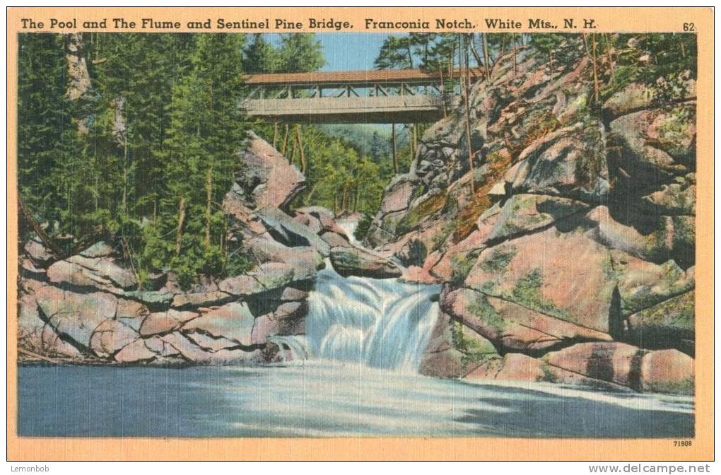 USA – United States – The Pool And The Flume & Sentinel Pine Bridge, Franconia Notch, White Mts. NH, Postcard[P6255] - White Mountains