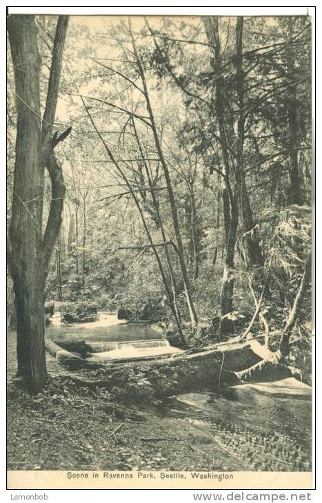 USA – United States – Scene In Ravenna Park, Seattle, Washington, Early 1900s Unused Postcard [P6260] - Seattle