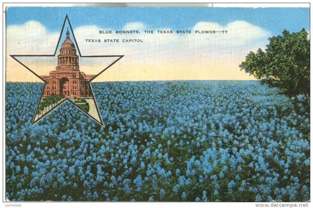 USA – United States – Blue Bonnets, The Texas State Flower, Texas State Capitol, 1946 Used Linen Postcard [P6274] - Other & Unclassified