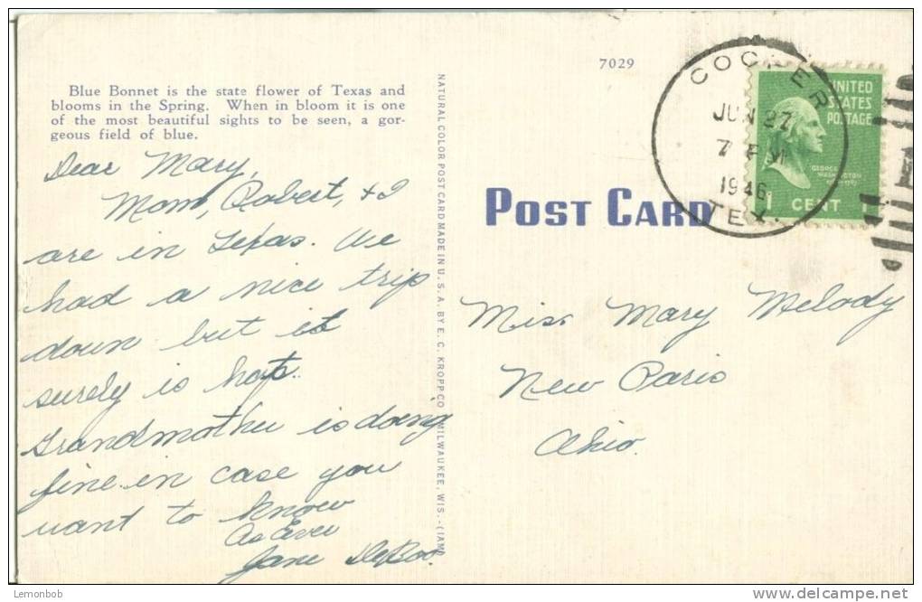 USA – United States – Blue Bonnets, The Texas State Flower, Texas State Capitol, 1946 Used Linen Postcard [P6274] - Other & Unclassified