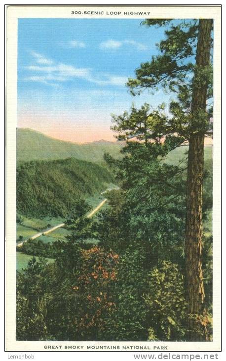 USA – United States – 300 Scenic Loop Highway, Great Smoky Mountains National Park, Unused Linen Postcard [P6281] - Smokey Mountains