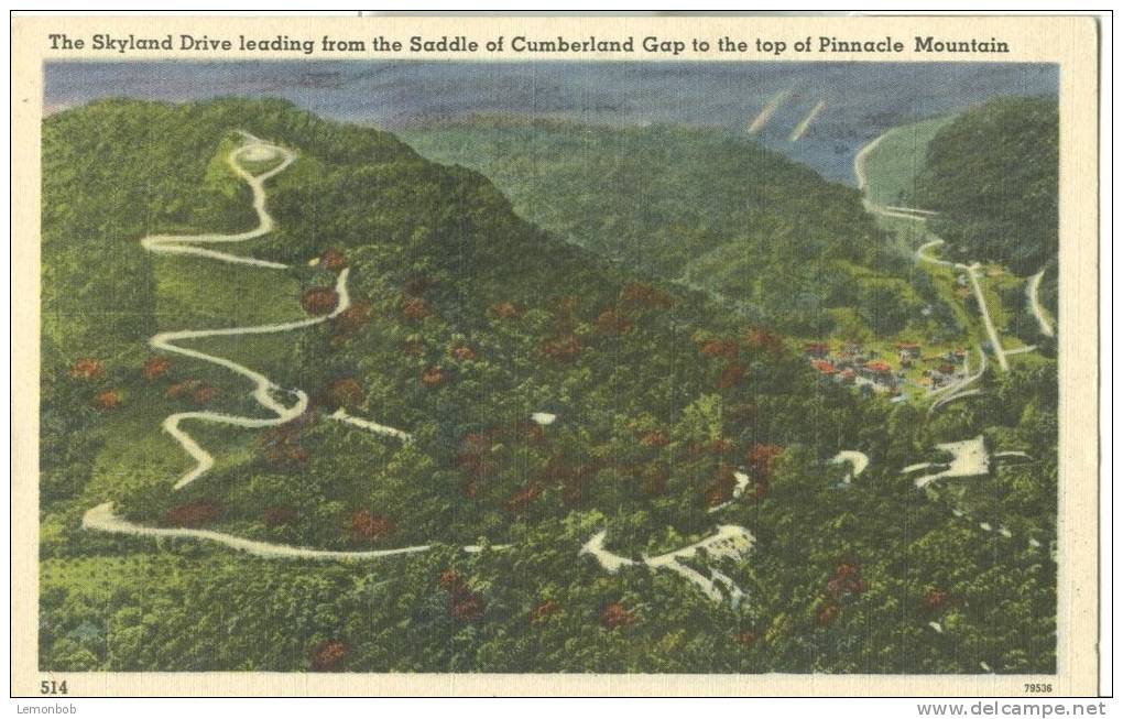 USA – Skyland Drive Leading From The Saddle Of Cumberland Gap To The Top Of Pinnacle Mountain, Postcard[P6302] - Other & Unclassified