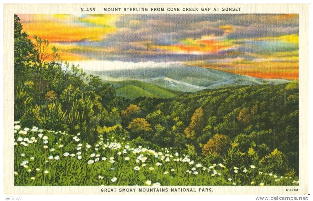 USA – United States – Mount Sterling From Cove Creek Gap At Sunset, Great Smoky Mountains National Park Postcard[P6335] - Smokey Mountains