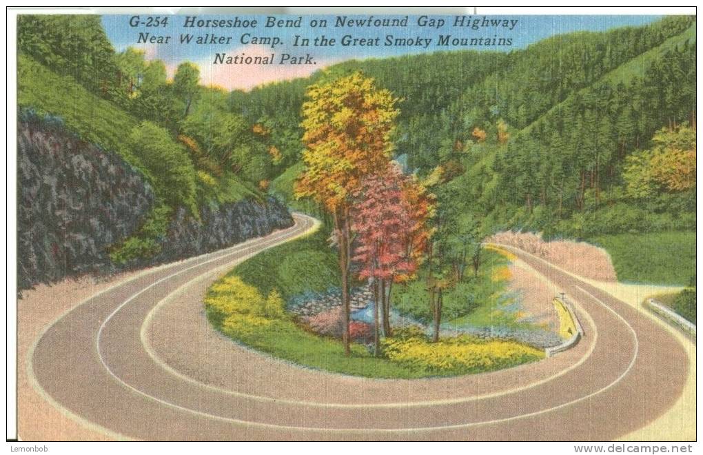USA – United States – Horseshoe Bend On Newfound Gap Highway, Great Smoky Mountains National Park  Unused Postcard[P6336 - Smokey Mountains