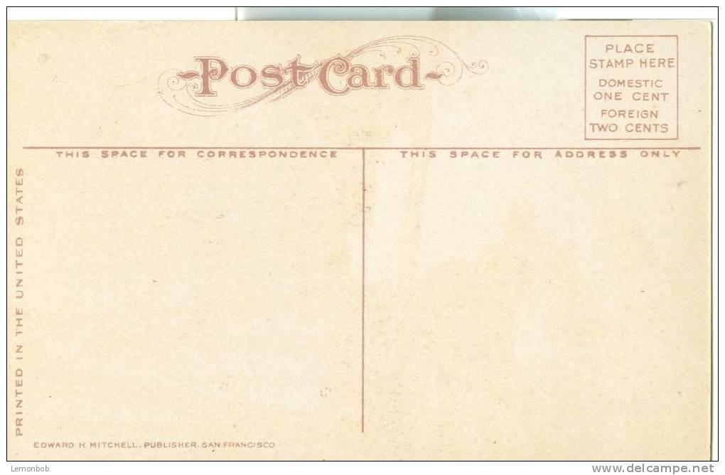 USA – United States – Ashland Creek Canyon, Oregon, Around 1910 Unused Postcard [P6376] - Other & Unclassified