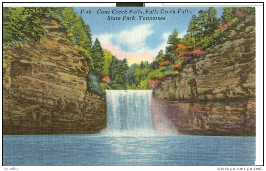 USA – United States – Cane Creek Falls, State Park, Tennessee, Unused Linen Postcard [P6382] - Sonstige & Ohne Zuordnung