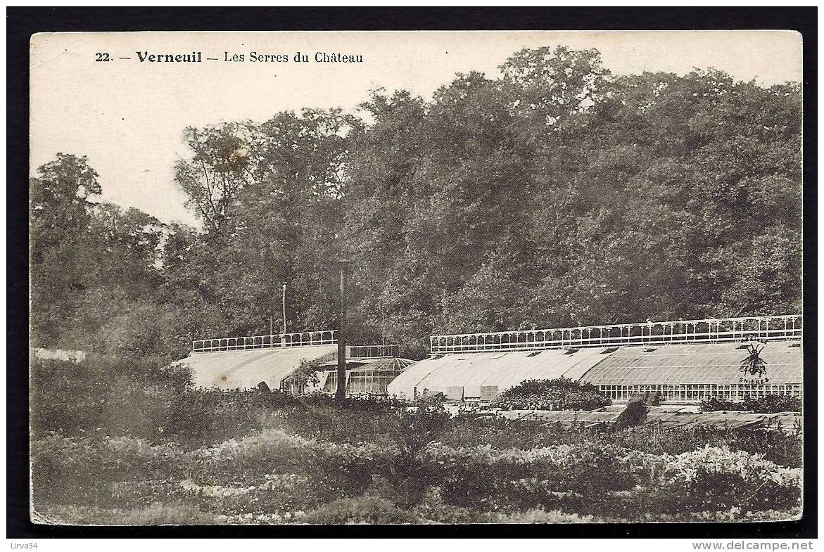 CPA  ANCIENNE- FRANCE- VERNEUIL (78)-  LES SERRES DU CHATEAU EN GROS PLAN - Verneuil Sur Seine