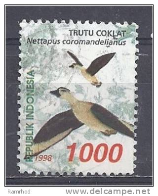 INDONESIA 1998 Waterfowl  -  1000r  Cotton Goose FU - Indonesia