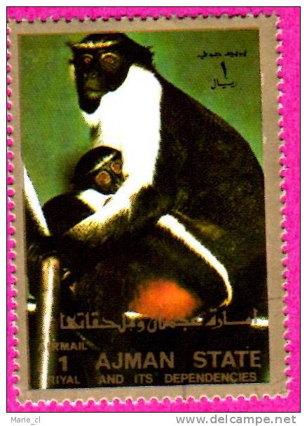 Beau Timbre SINGE Ajman - Gorilla