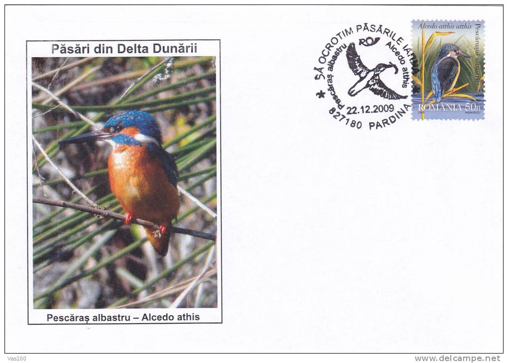 Seagulls "Alcedo Athis" 2009 Cover Stamps Obliteration Concordante ,Romania. - Mouettes