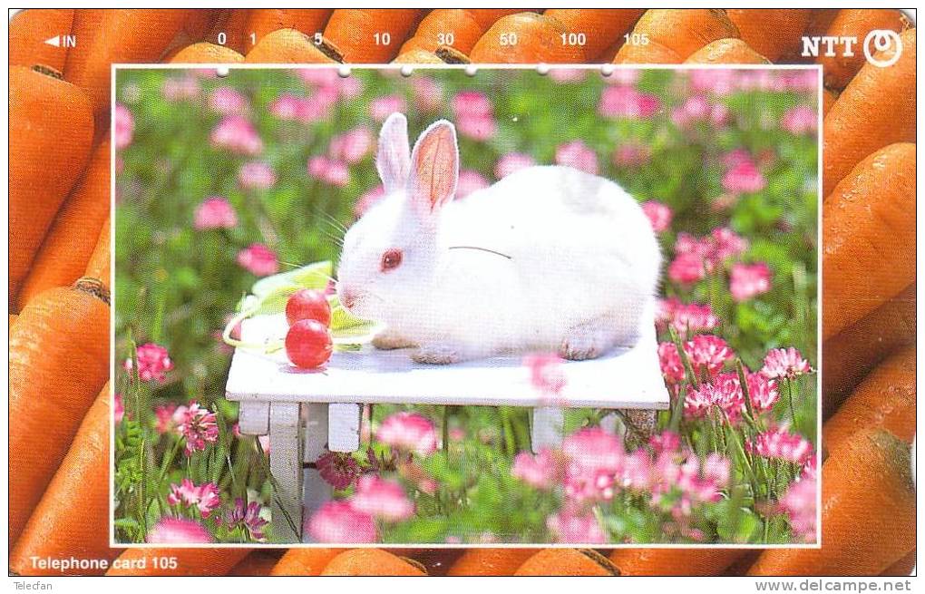 JAPON LAPIN RABBIT RADIS RADISH  RARE - Conejos