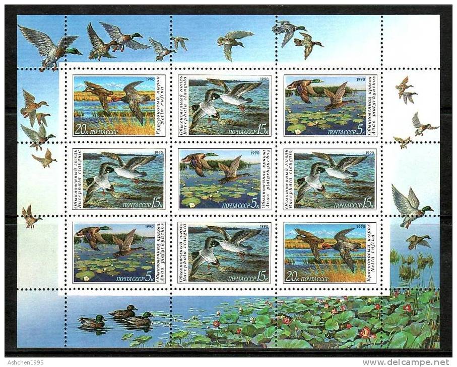 Russia 1990, Sc 5906-08, Ducks, Fauna  MS - MNH ** - Feuilles Complètes